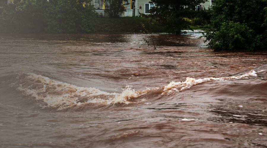 Why choose water damage restoration service for commercial water damage restoration in Birmingham